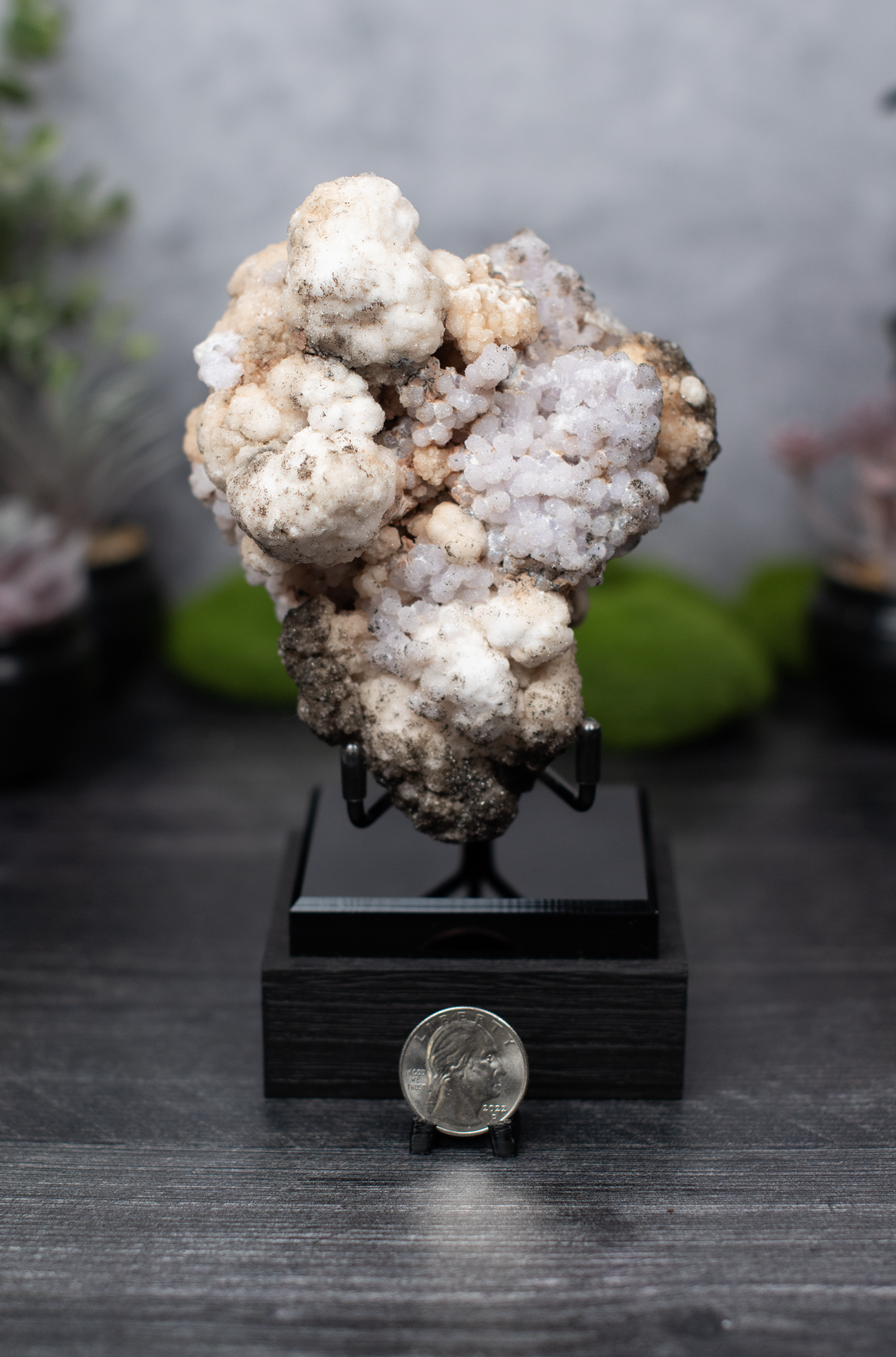 Santa Eulalia Creedite & Goethite