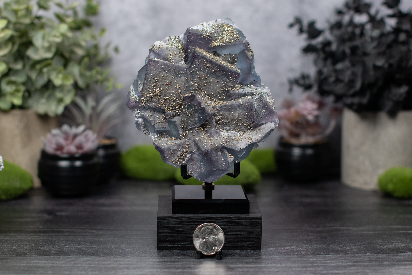 Fujian Fluorite & Pyrite