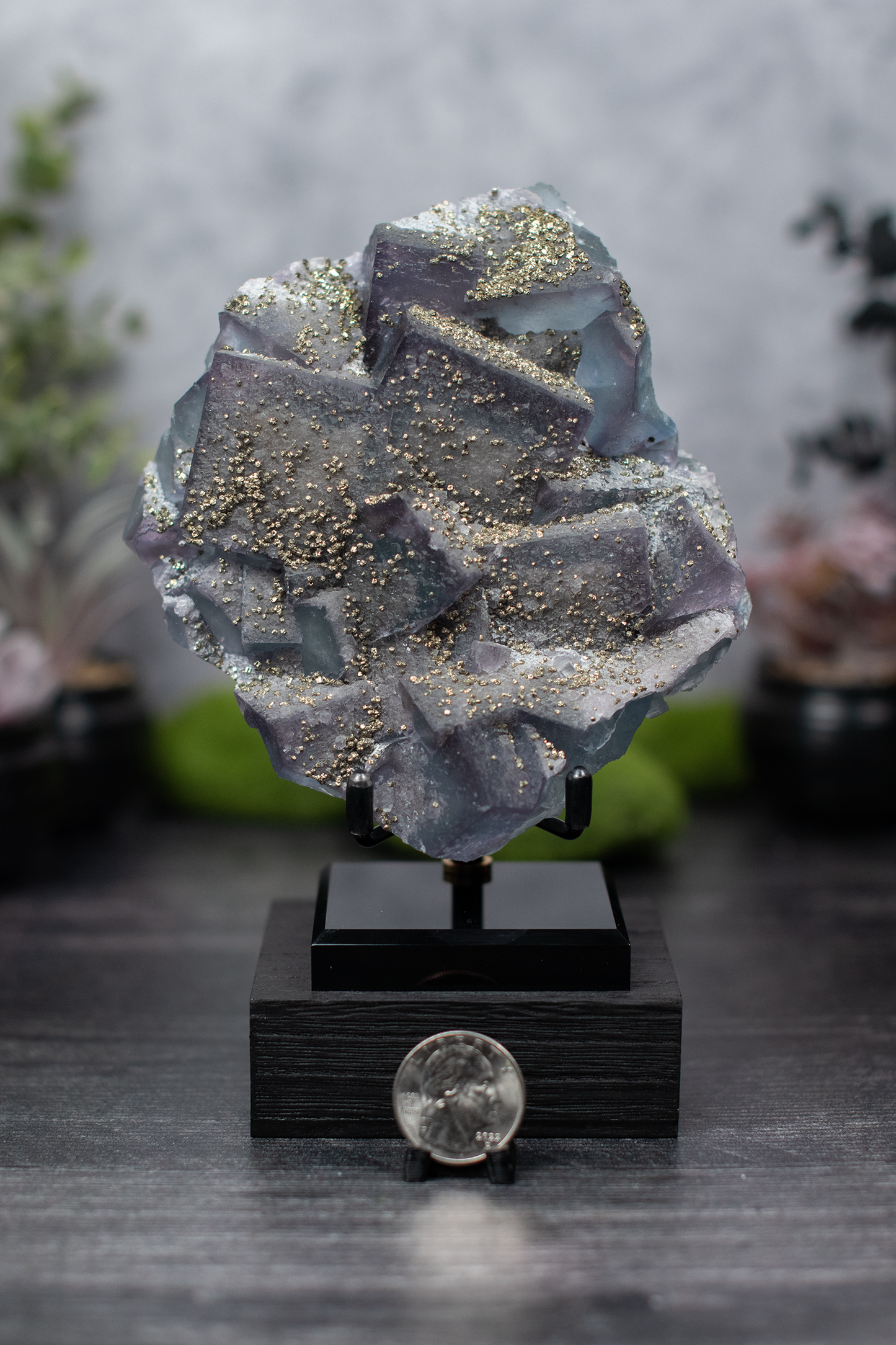 Fujian Fluorite & Pyrite
