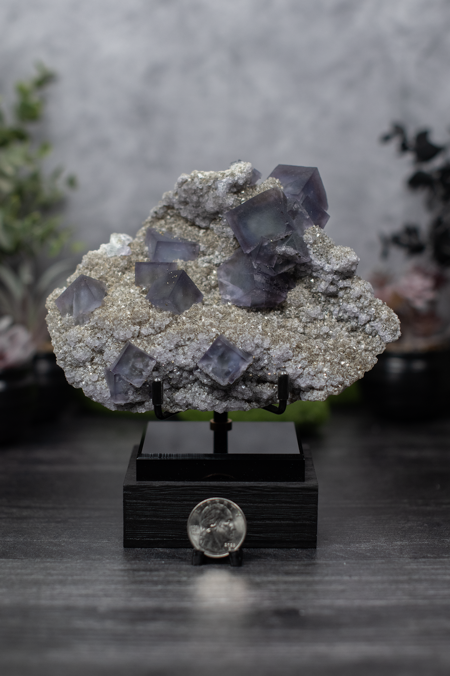 Fujian Fluorite & Pyrite
