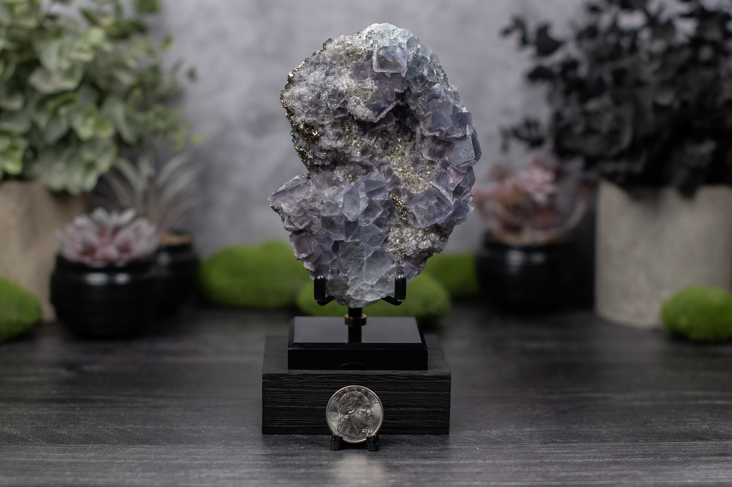 Fujian Fluorite & Pyrite