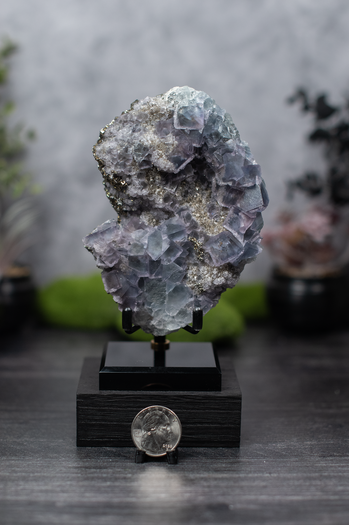 Fujian Fluorite & Pyrite