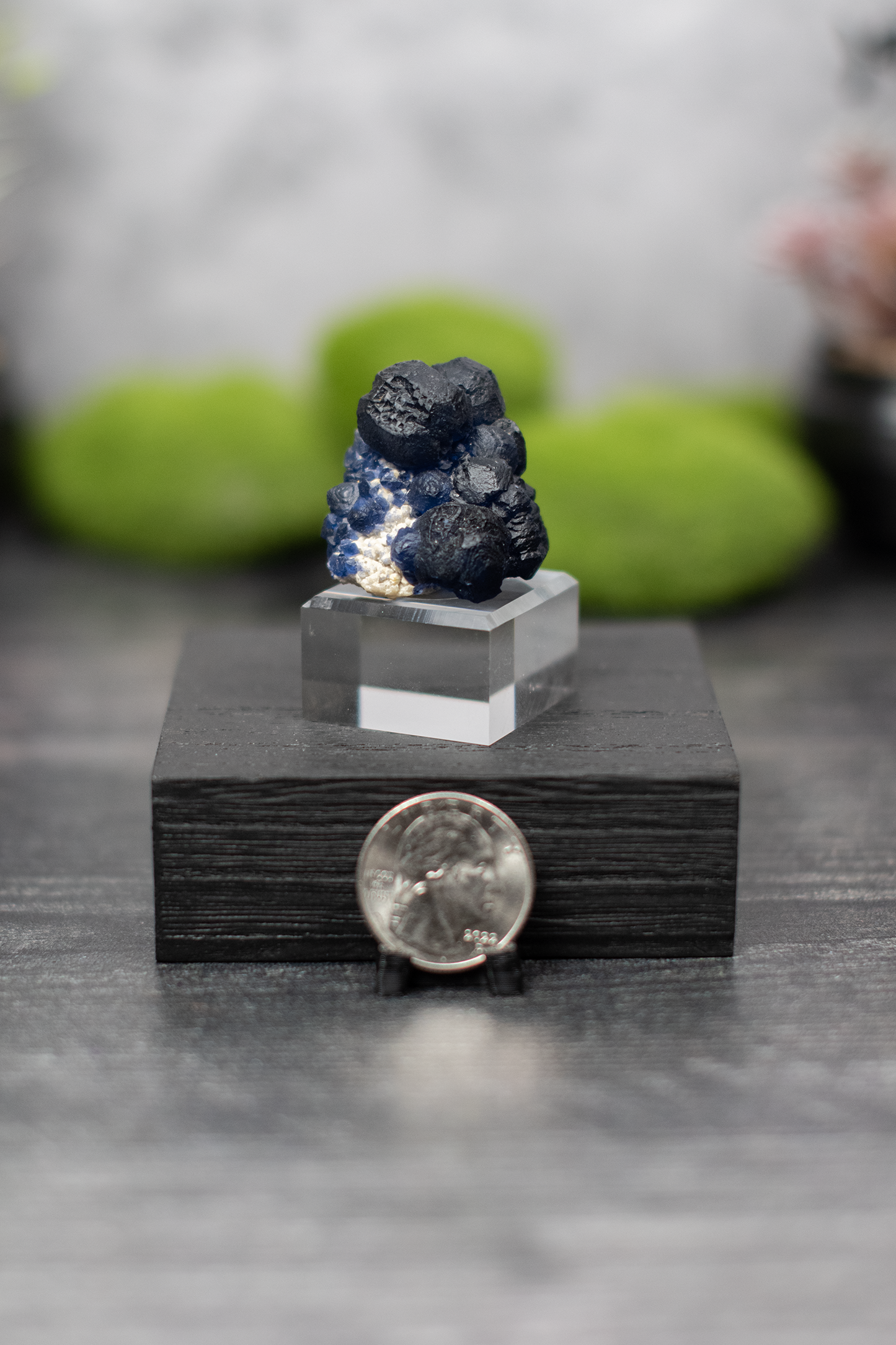 Blueberry Fluorite on Quartz