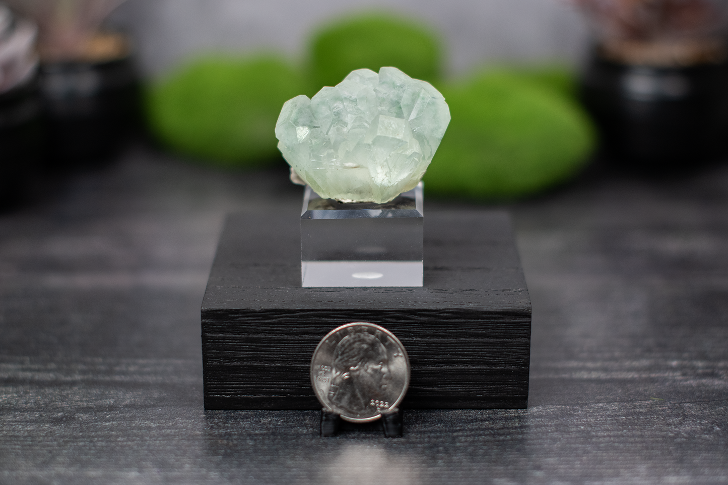 Green Apophyllite