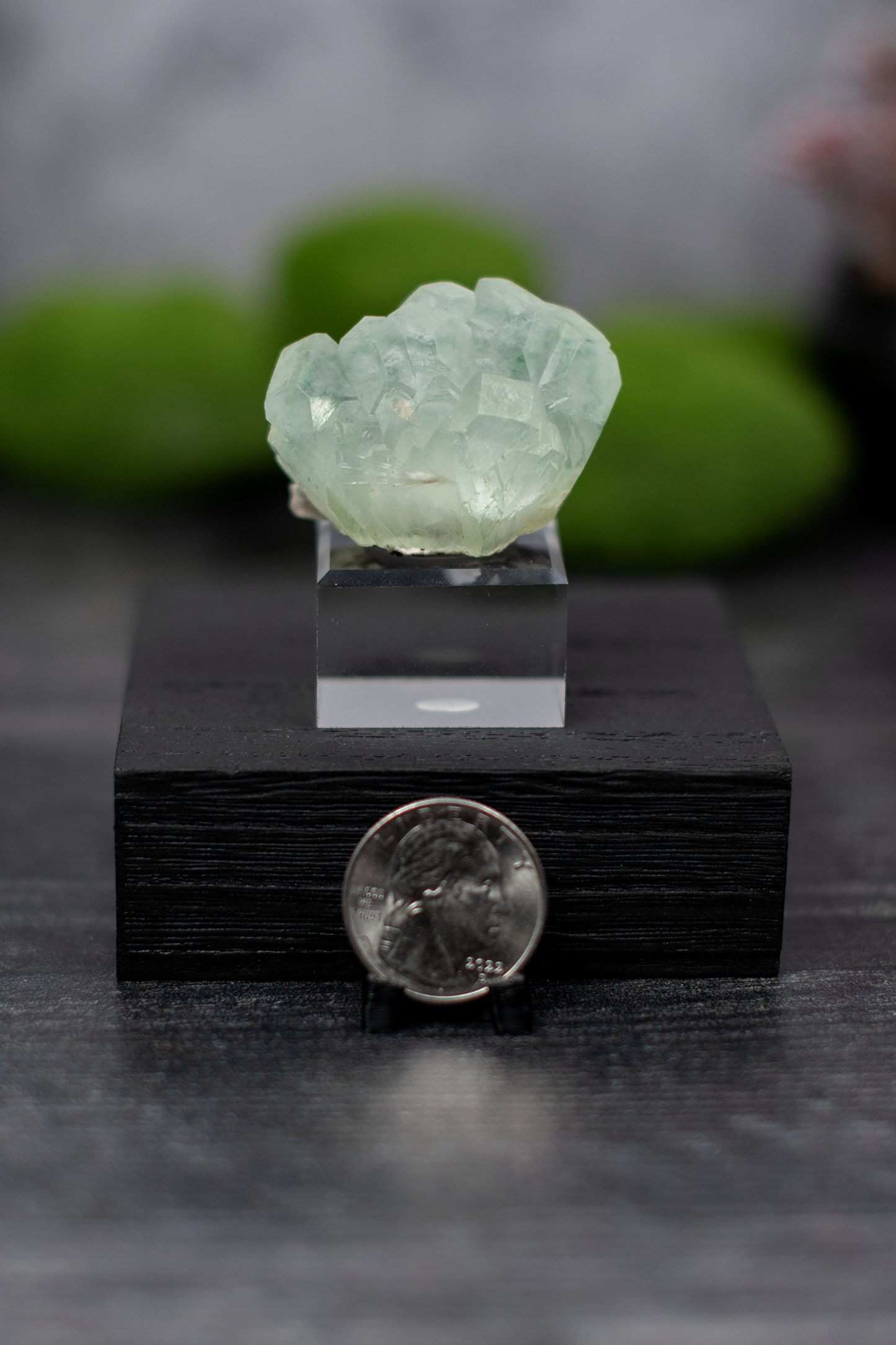Green Apophyllite