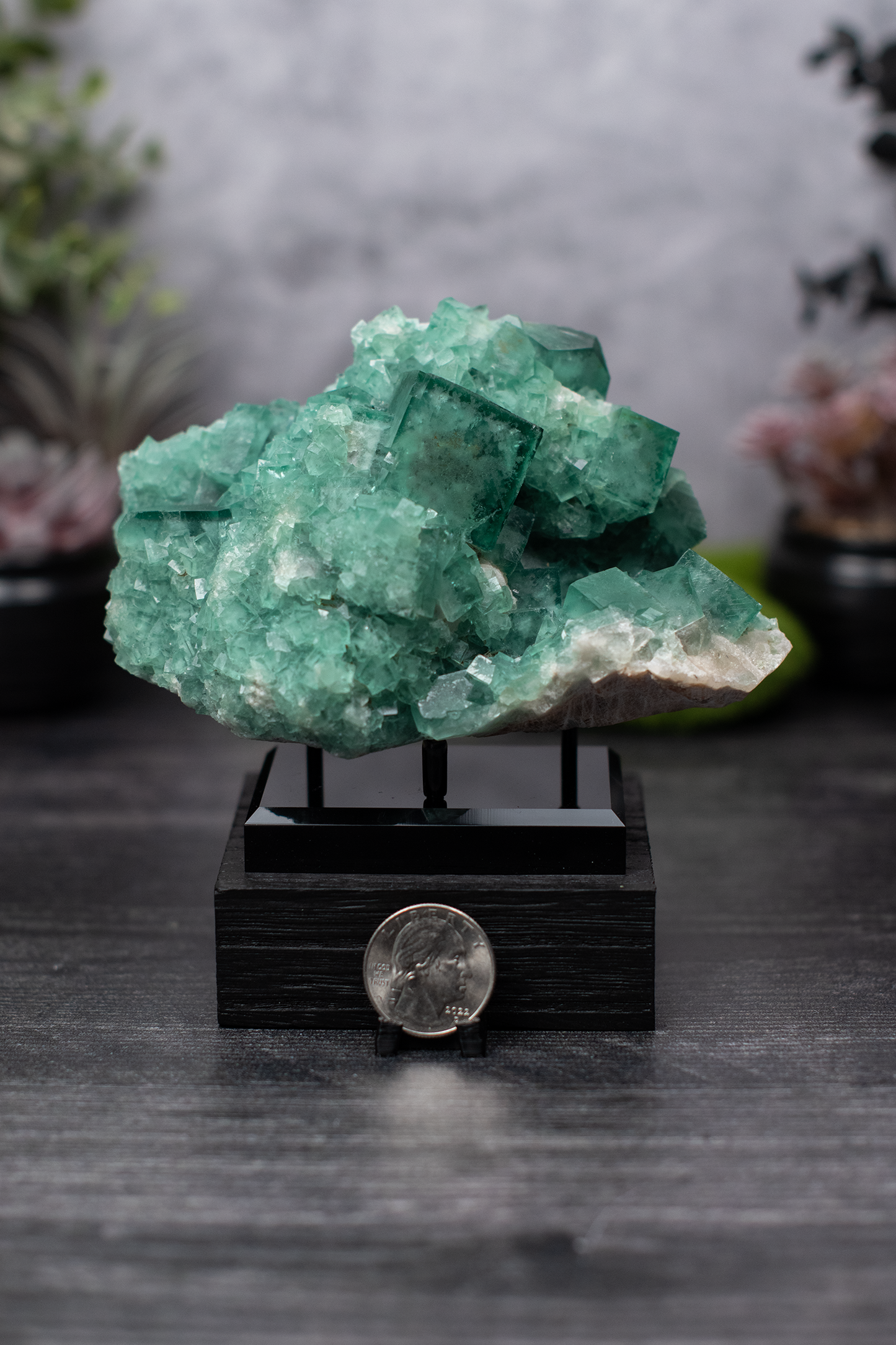Madagascar Fluorite