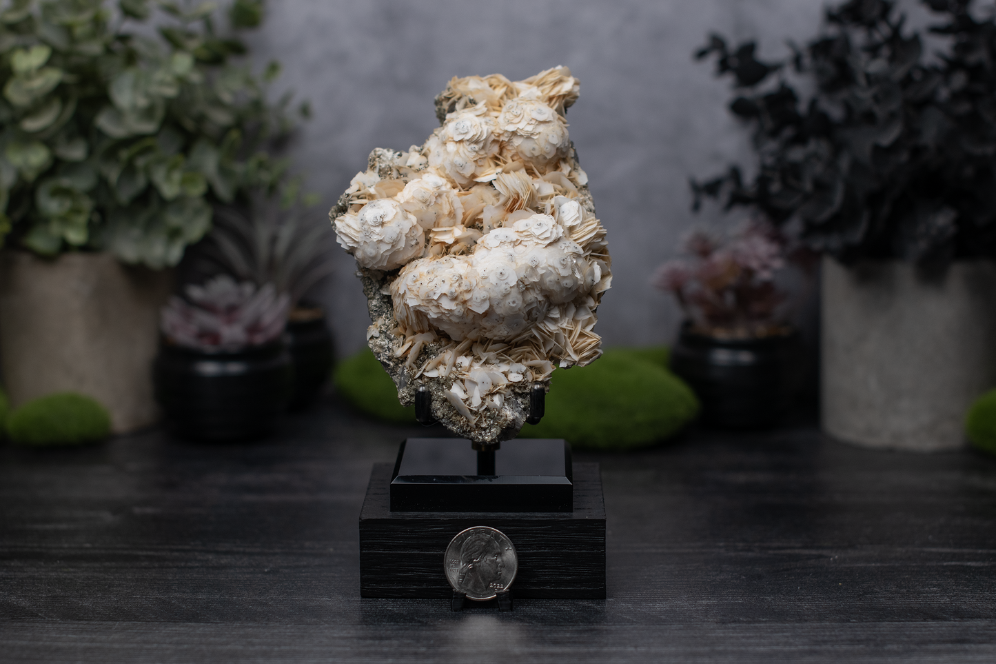 Inner Mongolian "Yellow Rose" Calcite