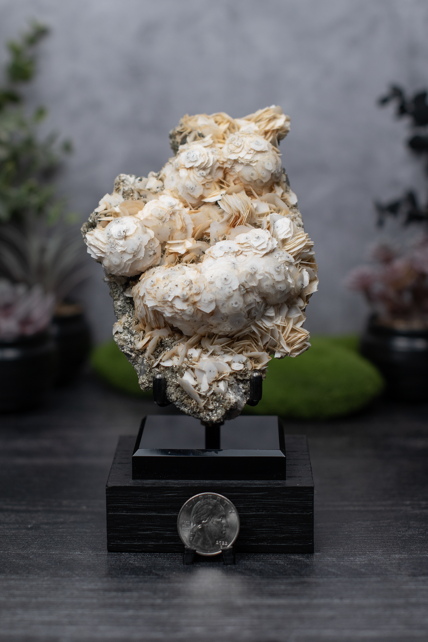Inner Mongolian "Yellow Rose" Calcite