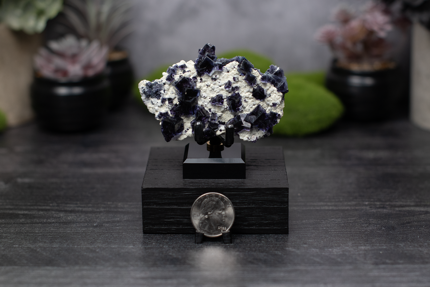 Yindu Mine Fluorite on Mica