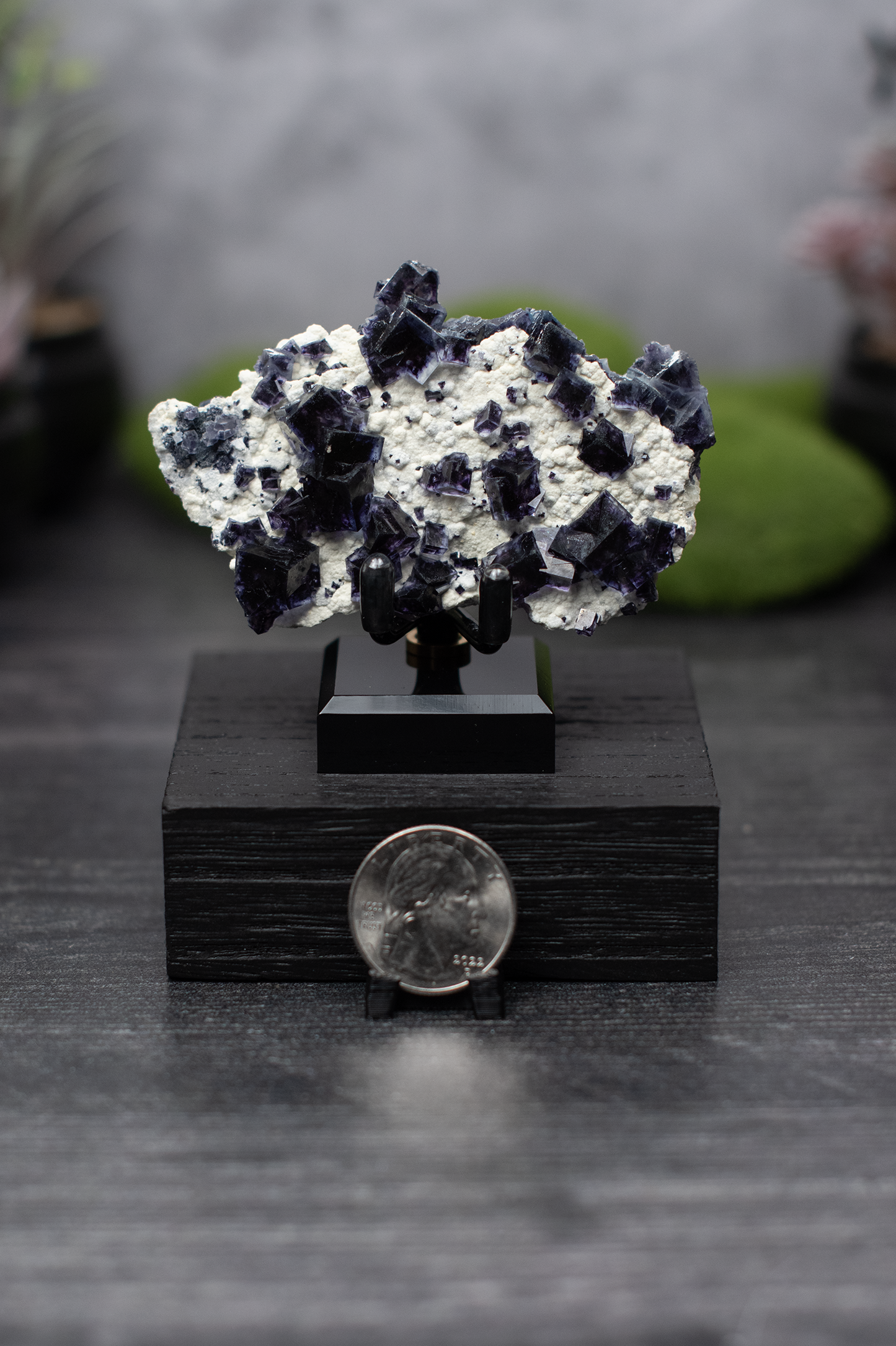 Yindu Mine Fluorite on Mica