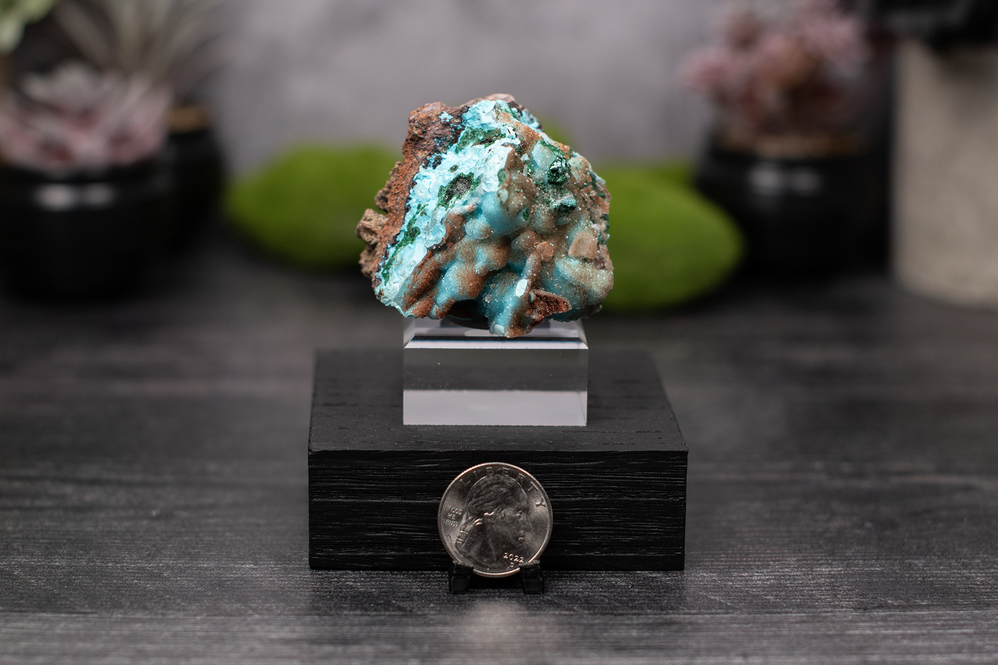 Tenke Mine Quartz aft. Chrysocolla aft. Malachite aft. Gypsum