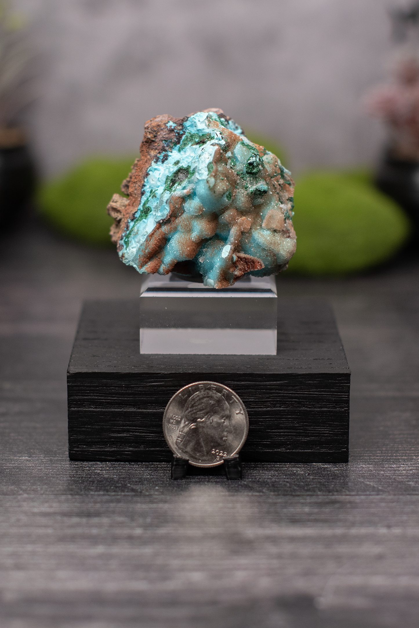 Tenke Mine Quartz aft. Chrysocolla aft. Malachite aft. Gypsum