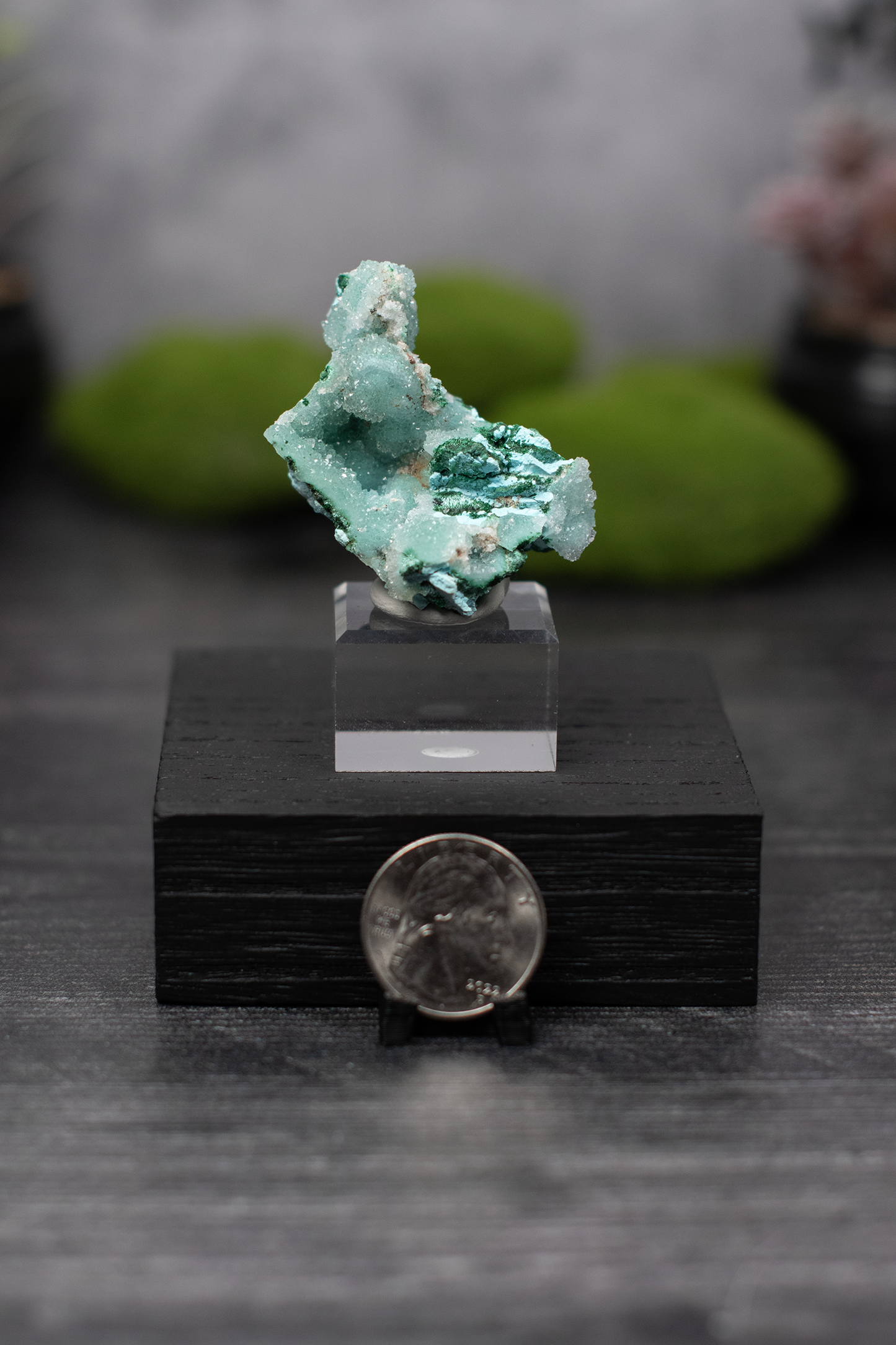 Tenke Mine Quartz aft. Chrysocolla aft. Malachite aft. Gypsum