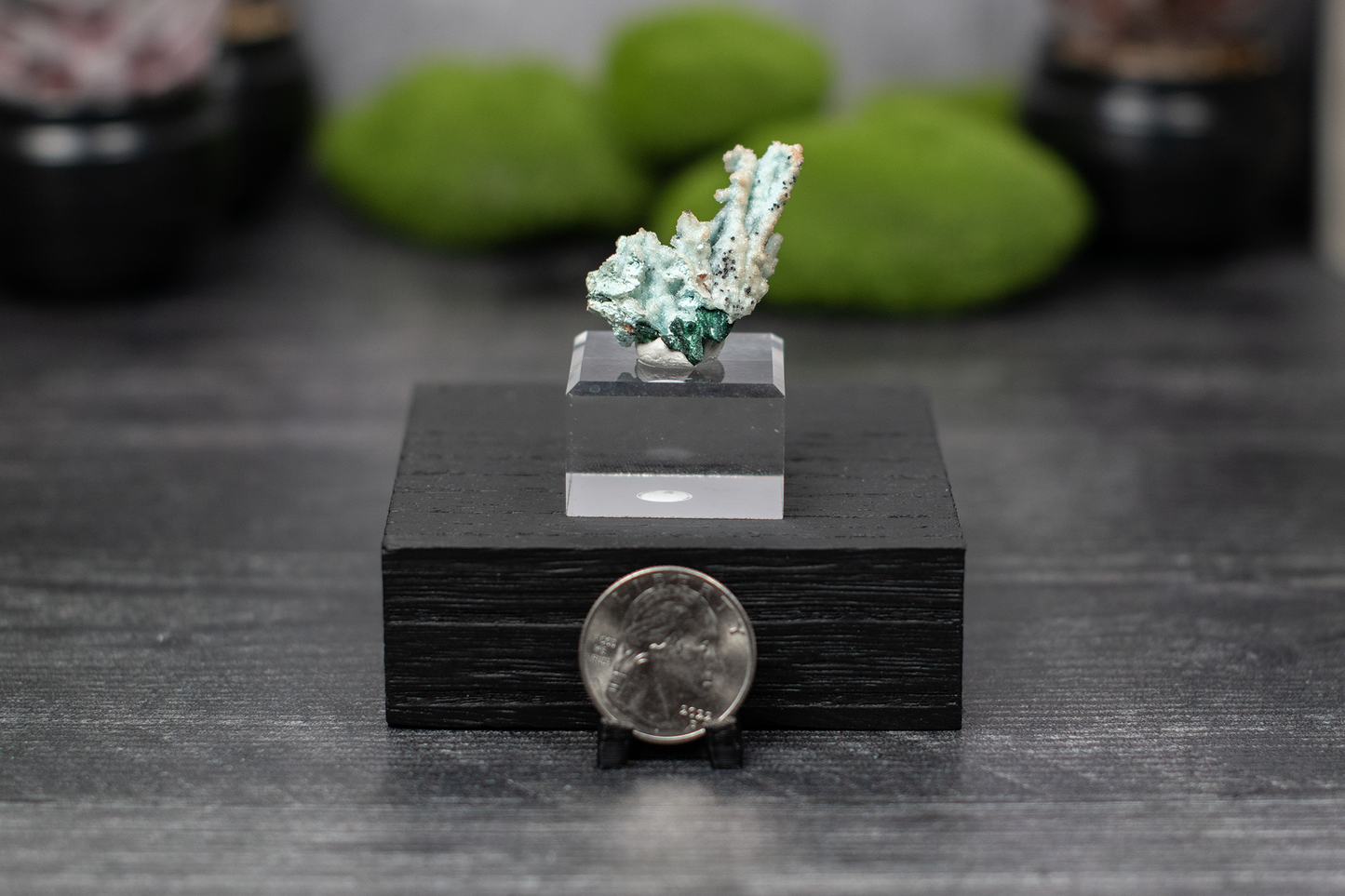 Tenke Mine Quartz aft. Chrysocolla aft. Malachite aft. Gypsum