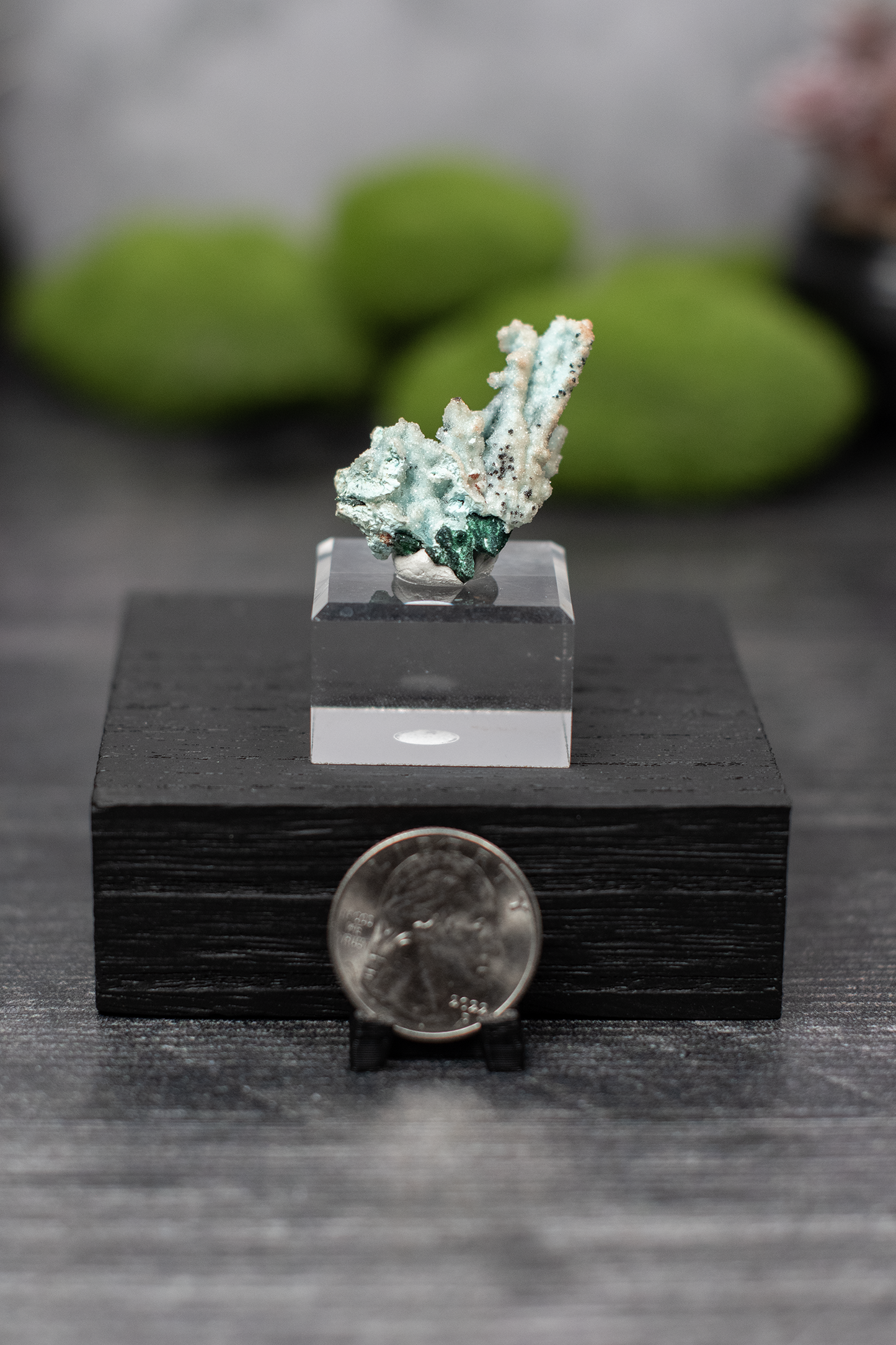 Tenke Mine Quartz aft. Chrysocolla aft. Malachite aft. Gypsum