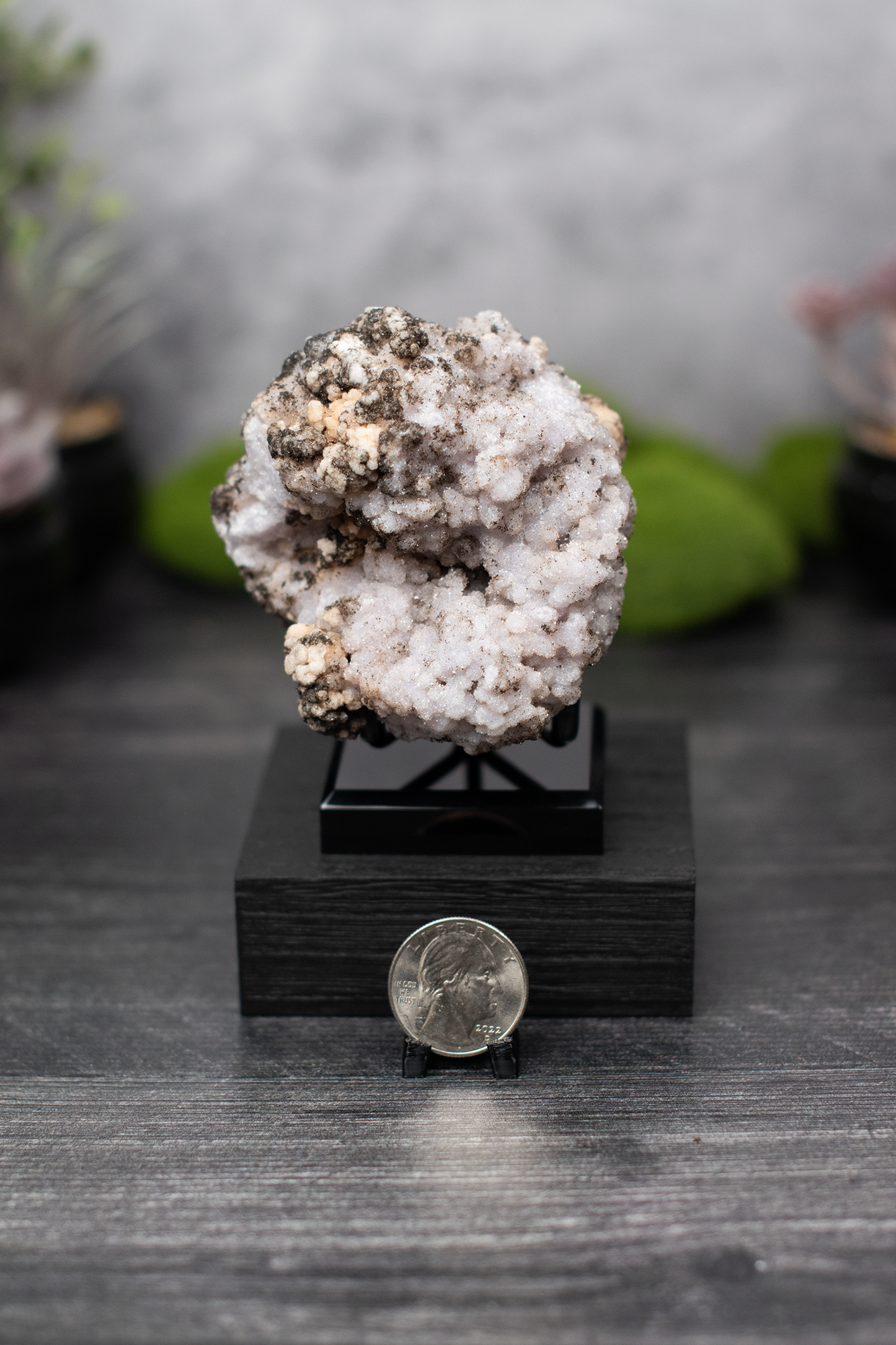 Santa Eulalia Creedite & Goethite