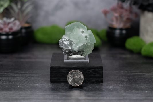Xianghualing "Soccer Ball" Fluorite