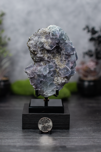 Fujian Fluorite & Pyrite