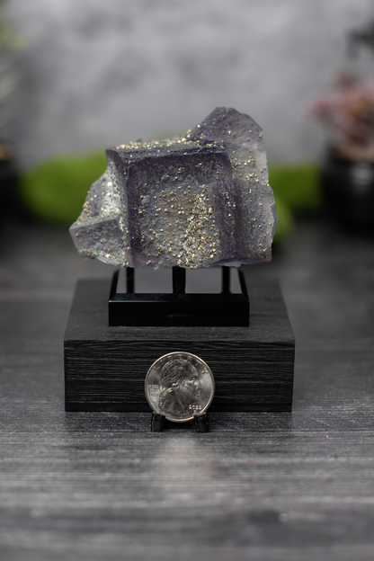 Fujian Fluorite & Pyrite
