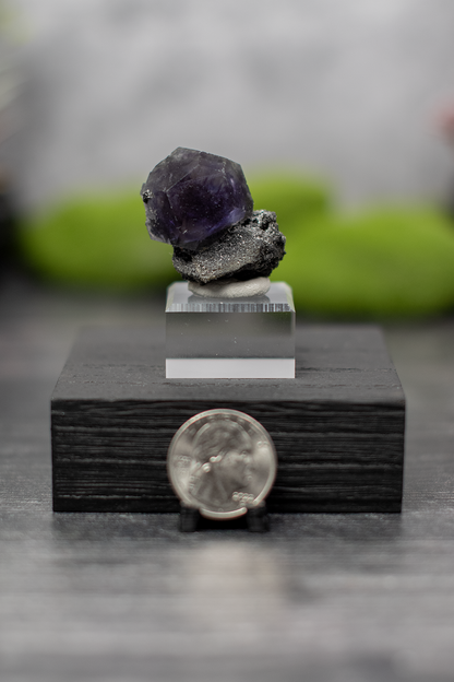 Fujian "Tanzanite" Fluorite