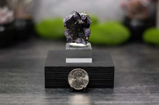 YGX Mine Fluorite on Wolframite