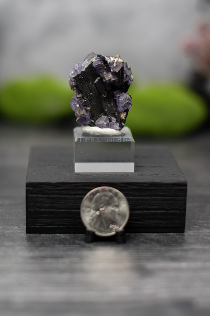YGX Mine Fluorite on Wolframite