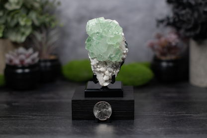 Green Apophyllite & Stilbite on Chalcedony