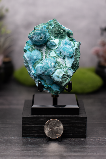 DRC Malachite & Chrysocolla