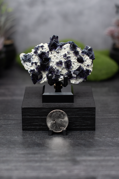 Yindu Mine Fluorite on Mica