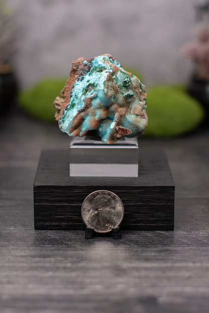 Tenke Mine Quartz aft. Chrysocolla aft. Malachite aft. Gypsum
