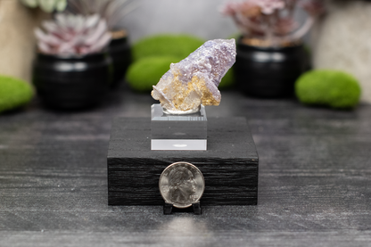 YGX Mine Fluorite & Siderite on Quartz