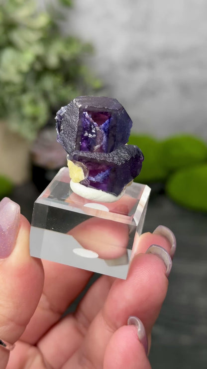 Yindu Mine Fluorite