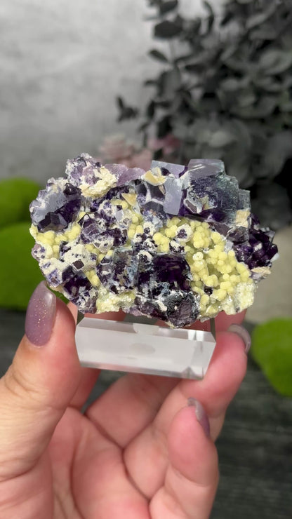 Yindu Mine Fluorite
