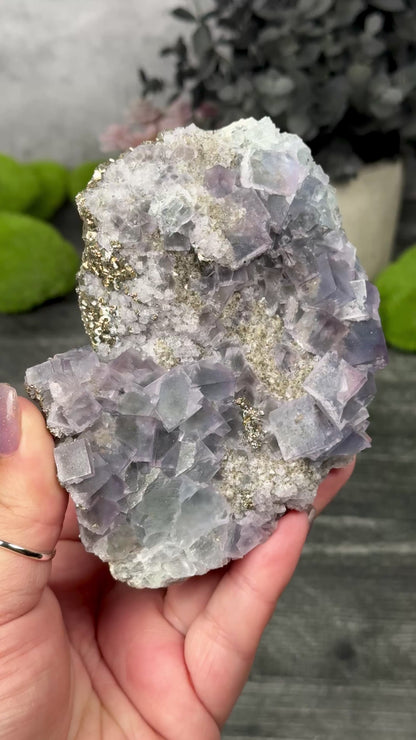Fujian Fluorite & Pyrite
