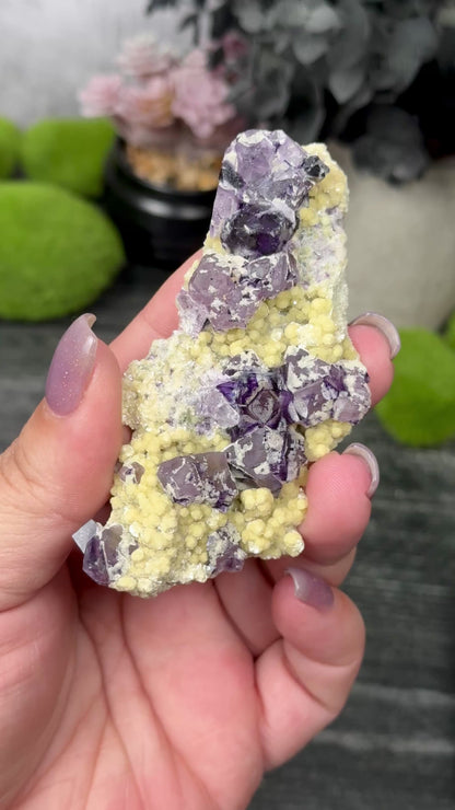 Yindu Mine Fluorite