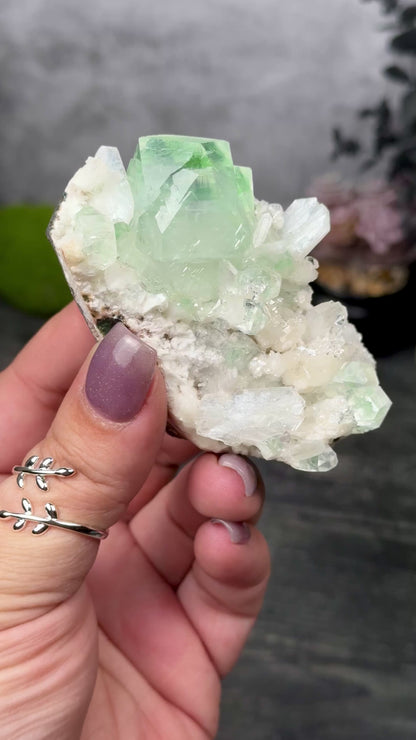 Green Apophyllite & Stilbite on Chalcedony