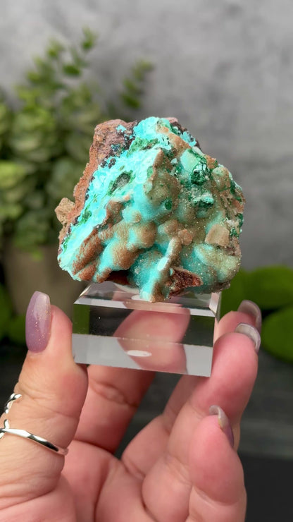 Tenke Mine Quartz aft. Chrysocolla aft. Malachite aft. Gypsum