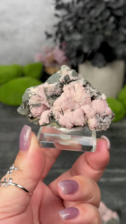Santa Eulalia Rhodochrosite