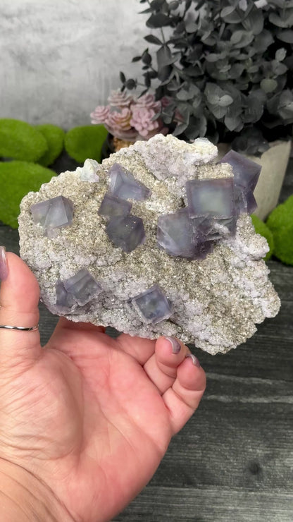 Fujian Fluorite & Pyrite