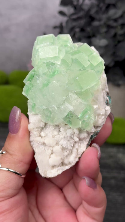Green Apophyllite & Stilbite on Chalcedony