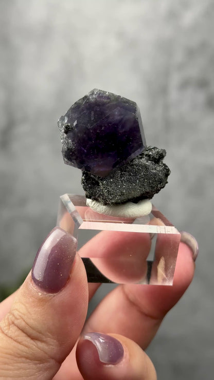 Fujian "Tanzanite" Fluorite
