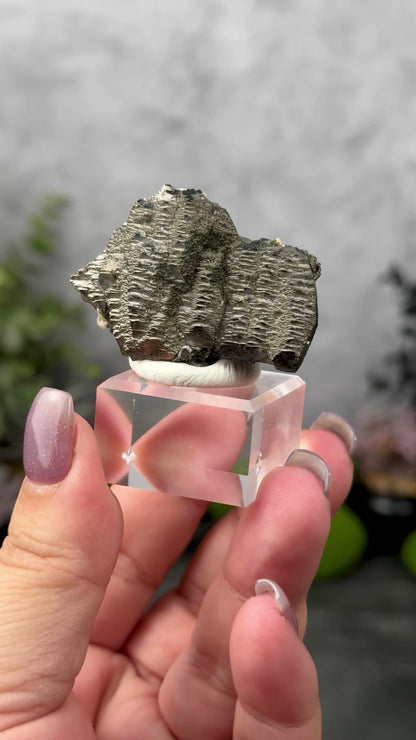 YGX Mine Arsenopyrite