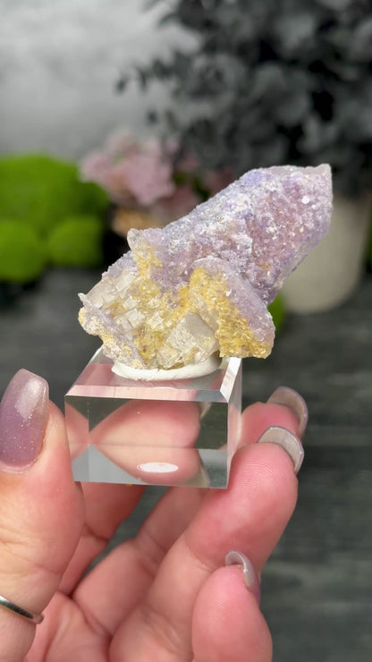 YGX Mine Fluorite & Siderite on Quartz