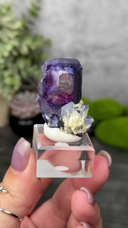 Yindu Mine Fluorite