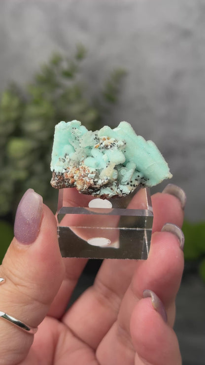 Tenke Mine Quartz aft. Chrysocolla aft. Malachite aft. Gypsum