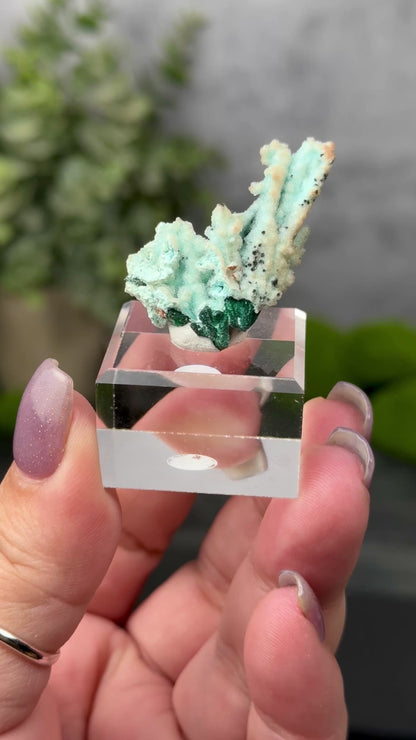 Tenke Mine Quartz aft. Chrysocolla aft. Malachite aft. Gypsum