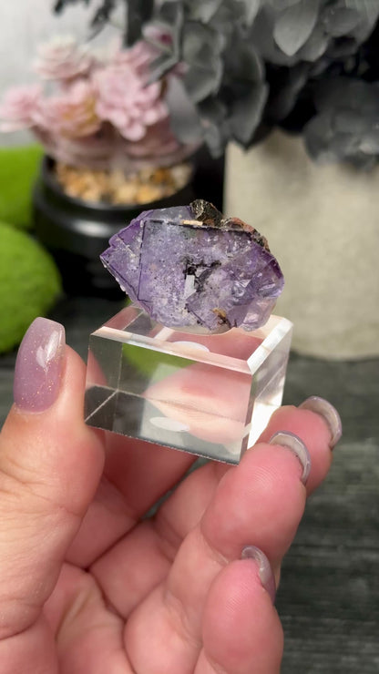 YGX Mine Fluorite & Pyrrhotite