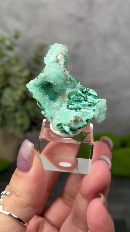 Tenke Mine Quartz aft. Chrysocolla aft. Malachite aft. Gypsum