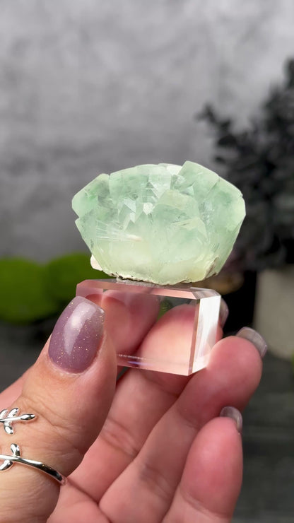 Green Apophyllite