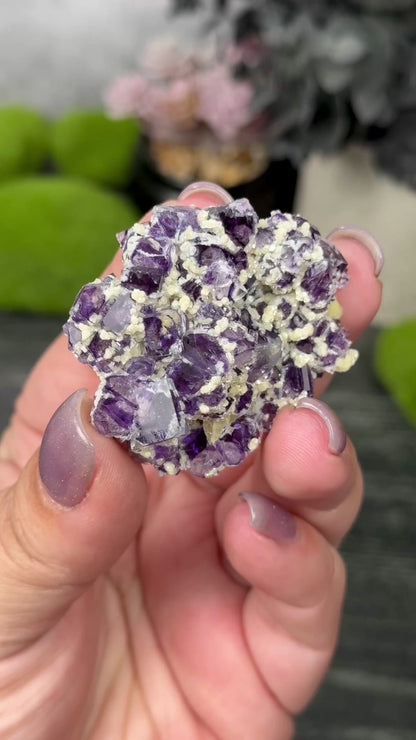 Yindu Mine Fluorite